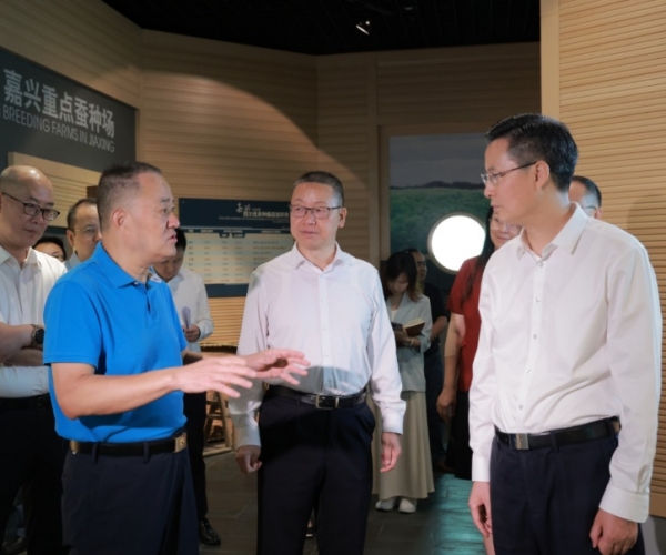 ��ΰ��ǹ��ٵ��к��ྭ���ҵ���ʷ�չ����